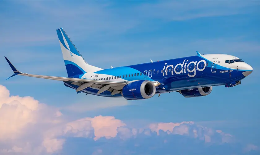 IndiGo, Boeing 737 MAX 8, Aviation, Travel  